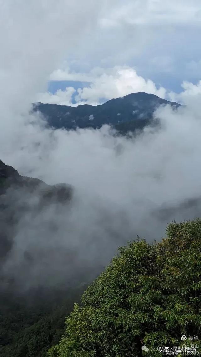 “浙南之巅”竟藏着以奇石景观著称的微缩版三清山，目前免费玩！
