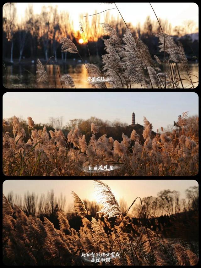 用电影的方式“打开”初冬！每一帧，都浪漫