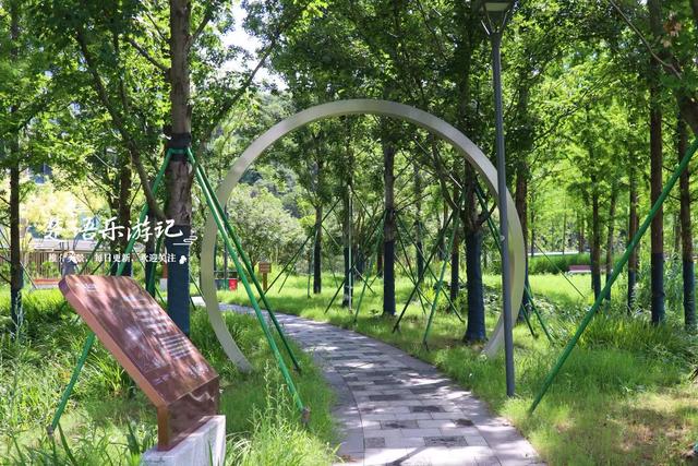 浙江宁波的新兴游玩地，多个公园相邻而居，多个荷花池美不胜收