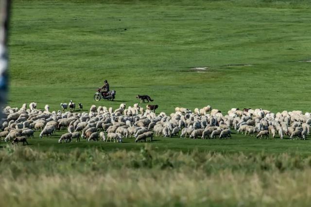 国内自驾游最经典的27条路线，适合退休人士，争取一年走2条！