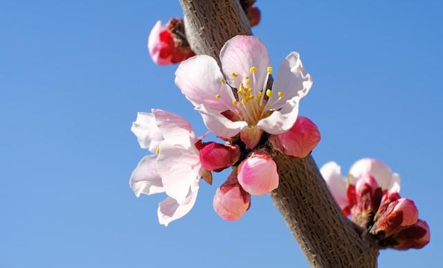 我把三十五岁的大龄剩女撵出了家门，等端正了态度再回来	。