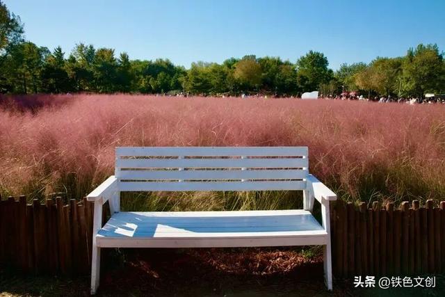 重阳踏秋：浮山秋韵里我们把岁月唱成歌