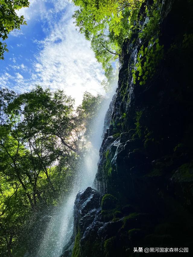 秋意漫染黑河，清风轻吟，邂逅一场如诗的秋日美景