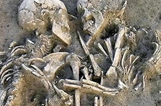 伊朗一对情侣，躲进谷仓中拥吻，被人发现时，已经吻了2800年