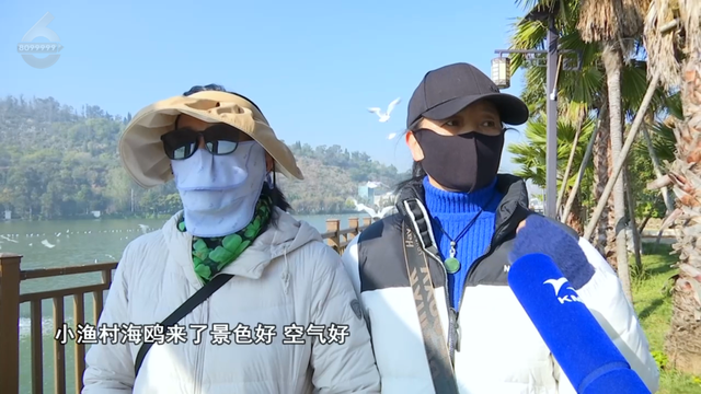 这个静谧小渔村，藏着彩虹桥、木栈道、老渔船、湖光鸥影……