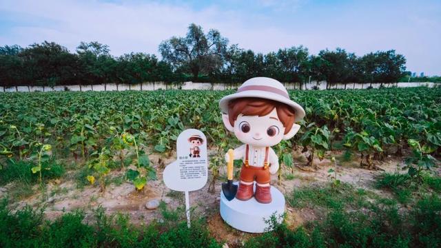 丰彩城市艺术季｜从皇家菜园到美学农场！菜户营在艺术田园里织就新童话