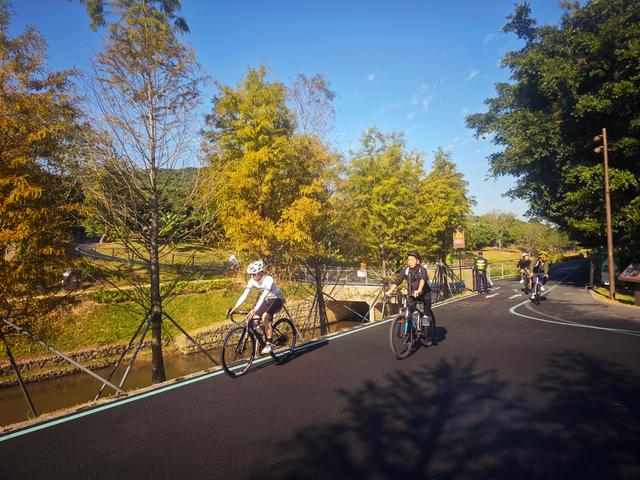 从丽康路穿荔园溪谷至西丽湖绿道骑行随拍