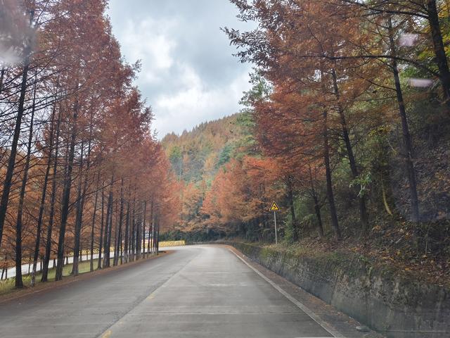 南行漫记：汉中南郑区到巴中恩阳区，9小时233公里的行走路书