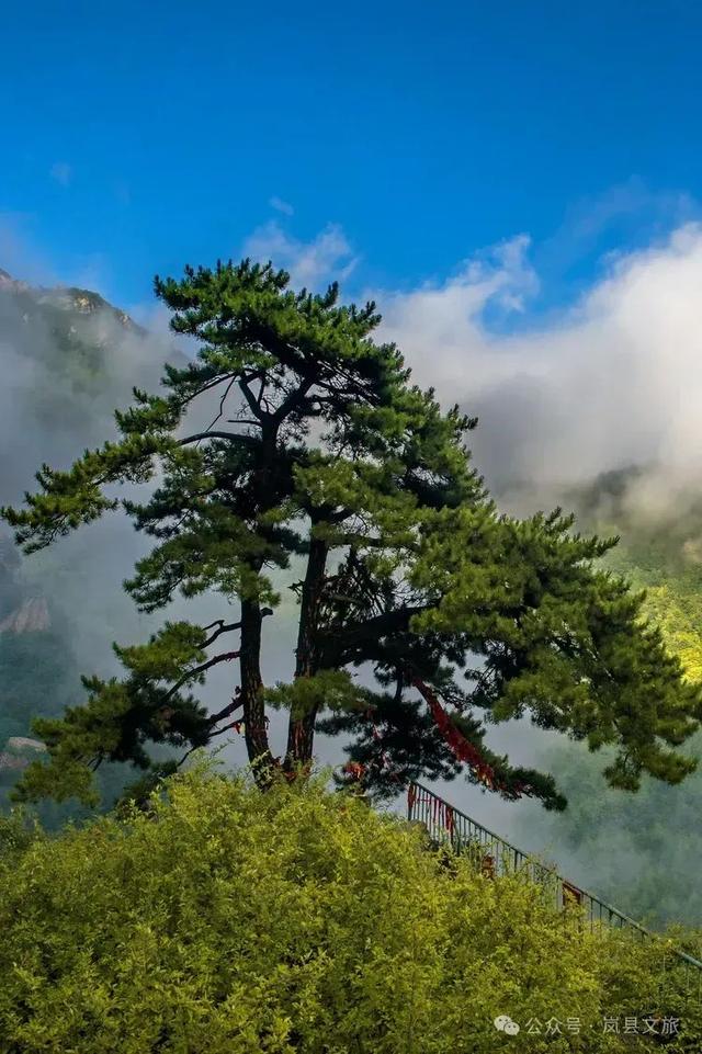 岚县白龙山