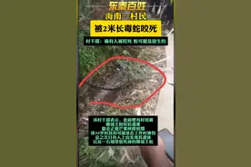 越闹越大！海南无辜村民丧命蛇口，悲剧引发舆论！村民之死谁负责图片