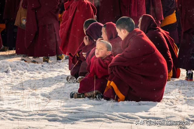 把冬天过成诗！这8个旅行地，藏着国内最浪漫的雪景和暖阳