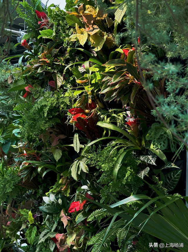 周末来复兴岛，边吃边玩放肆嗨！