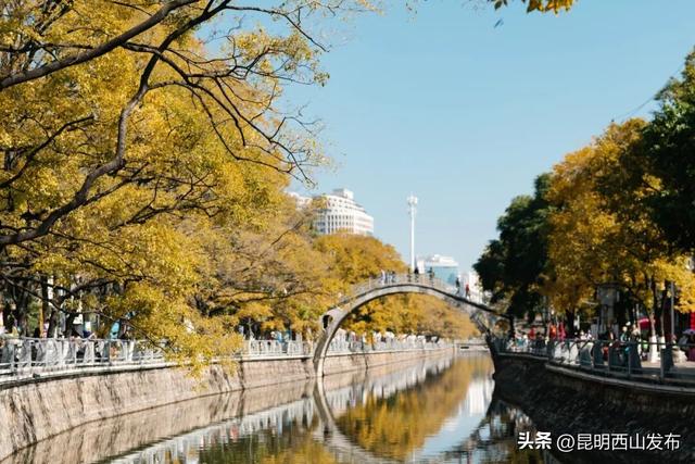 西山漫行·金秋拾趣 | 西山秋日必追浪漫清单来袭，最快现在可冲！
