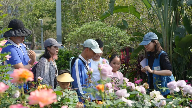 2026深圳国际月季文化年，精彩不打烊！