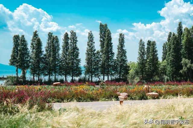 中央、省、市多家媒体聚焦晋宁旅游线路