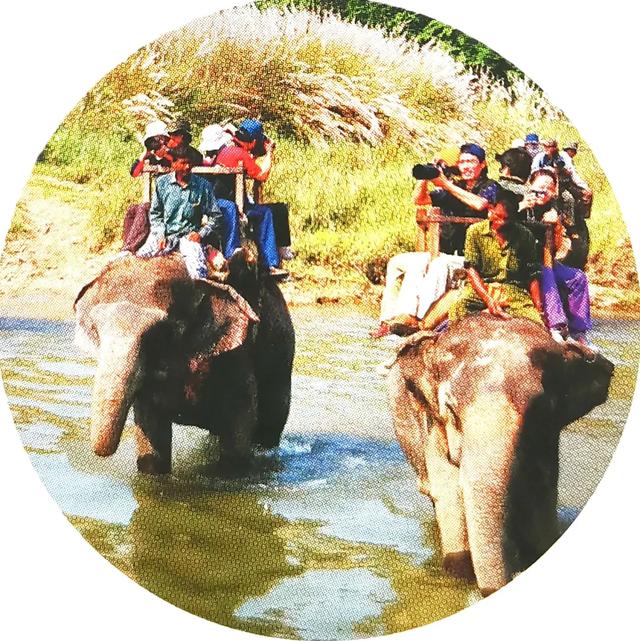 林中漫游——寻访野生动物