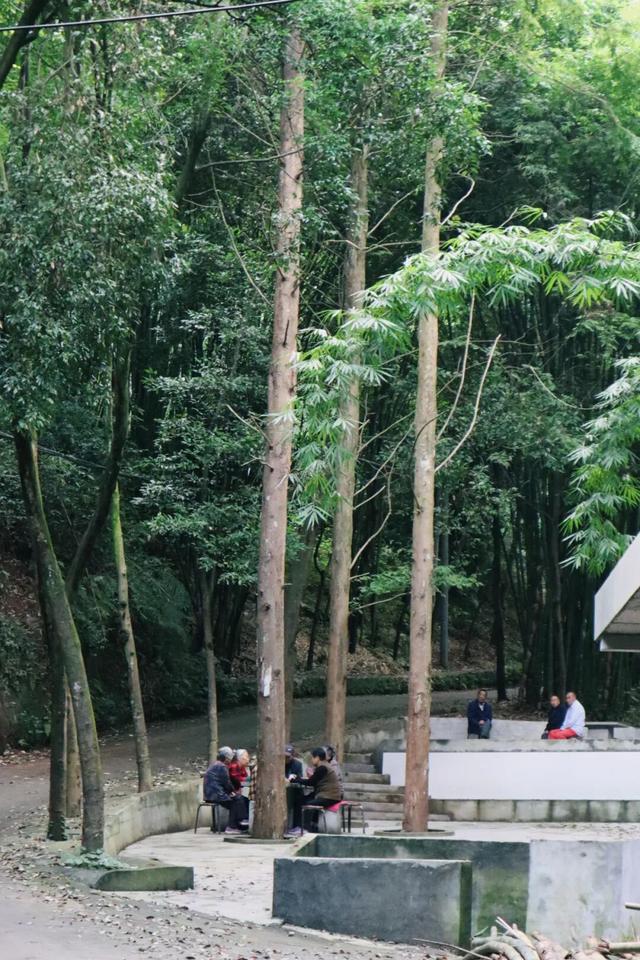 周末就冲！亲测3条被严重低估的徒步线，林海吸氧峡谷石窟！全部免费最快40min飙拢！
