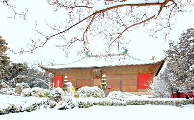 黄河!天鹅!壁画!美食!四条主题线路打开初冬的N种游玩方式