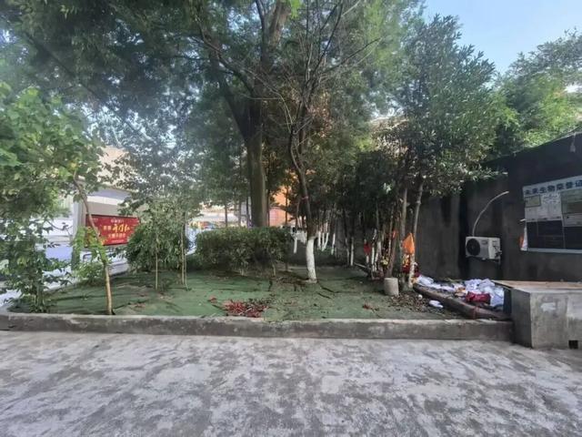 上新三座小游园！这个周末来彭州邂逅秋日美好→