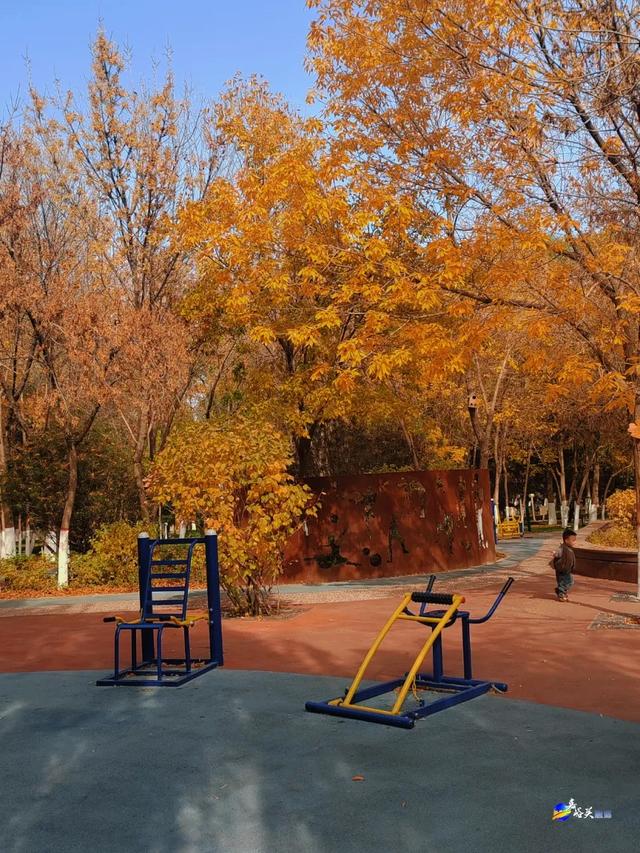 才几天没去,这个公园最近居然变成这样了?!