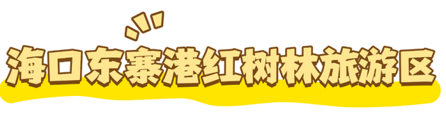 中秋国庆“金椰分”当钱花？海口这波操作真香！