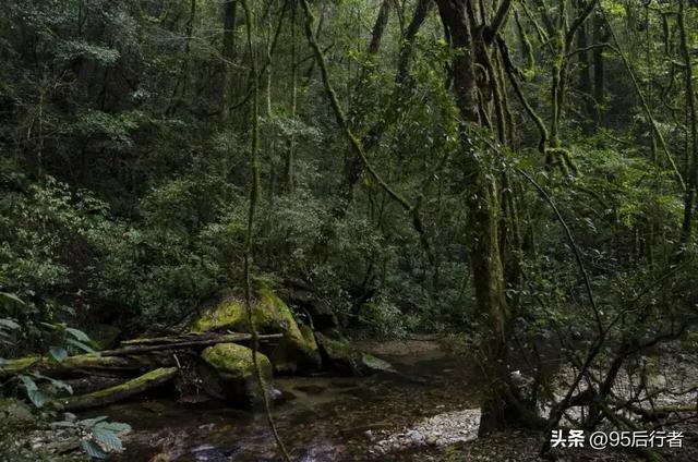 世界上只有中国才有的十大神奇景观，去过一半，都是大神级别！