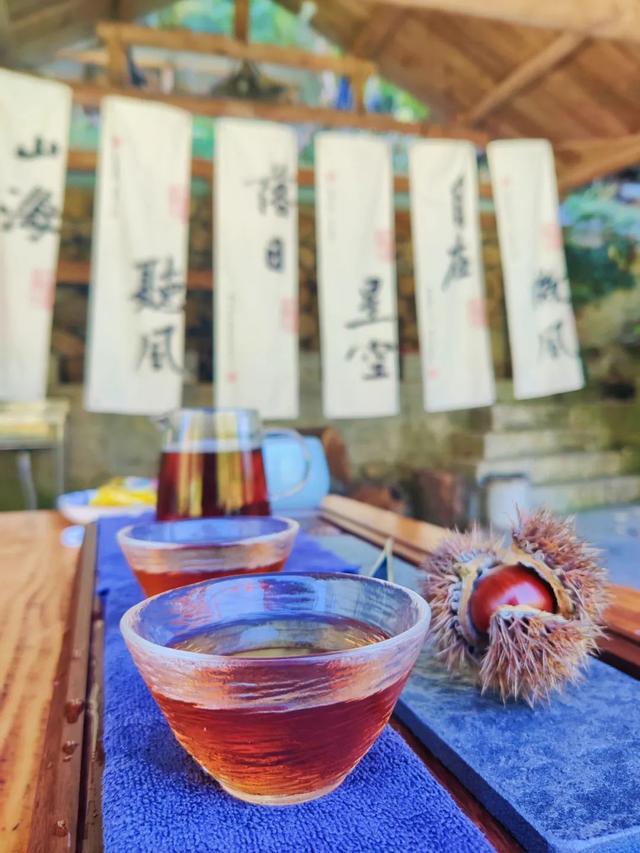 秋分是红叶写的预告信，再过半个月，共赴黄柏塬红叶盛宴！