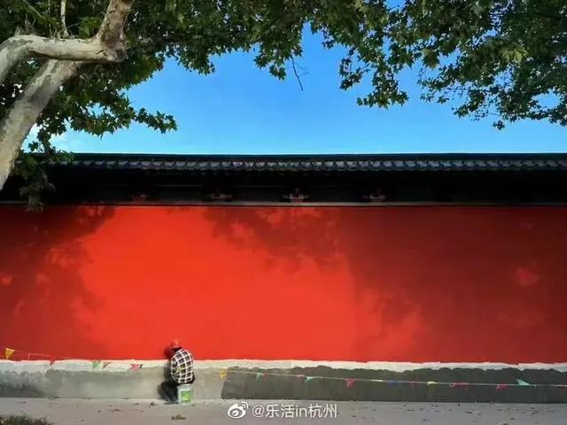66元畅享数千元权益！漫游上城“66潮玩卡”带你狂欢“浙BA”