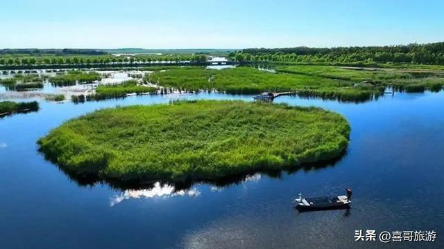 莫莫格国家级自然保护区：天地无垠处，万羽共徘徊