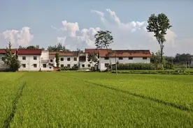 租房新规：只有“有证房”适用！90%自建房出租竟成法外之地？图片