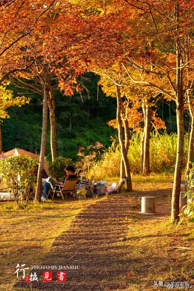 龙岩周末去哪儿｜秋的余温，藏在龙岩这些地方→