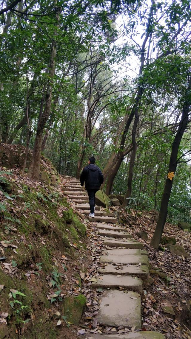 重庆南山有一座荒废庄院，曾是停放棺材的地方，胆小的人不敢靠近