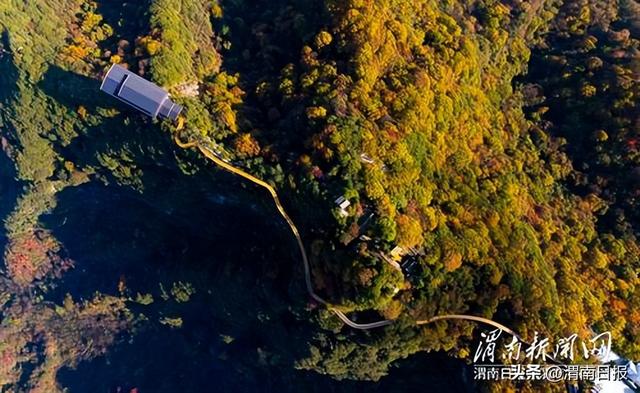 少华秋色“醉”游人