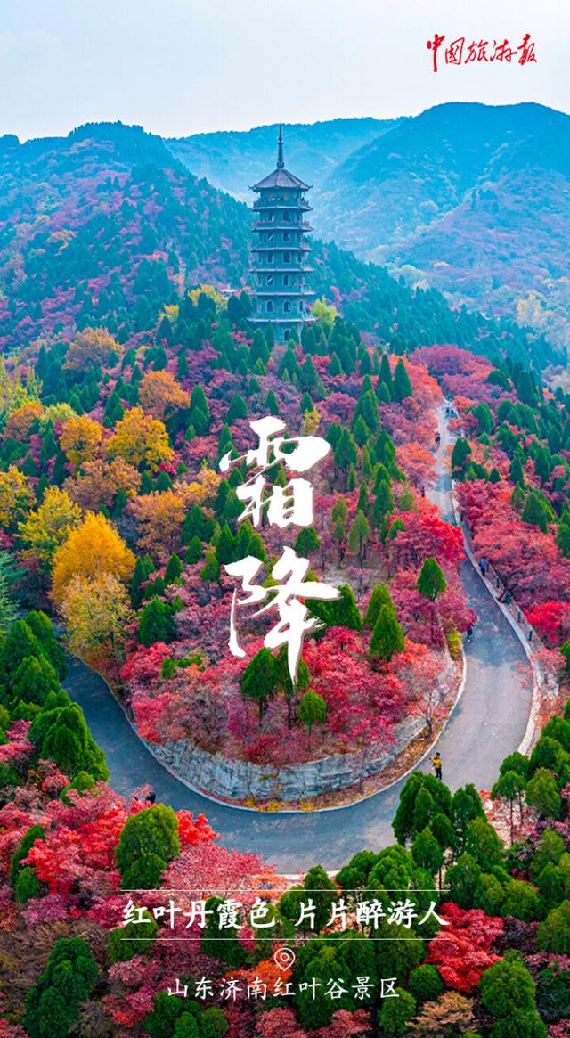 霜降丨收尽秋光惊艳色 静候冬日好时光