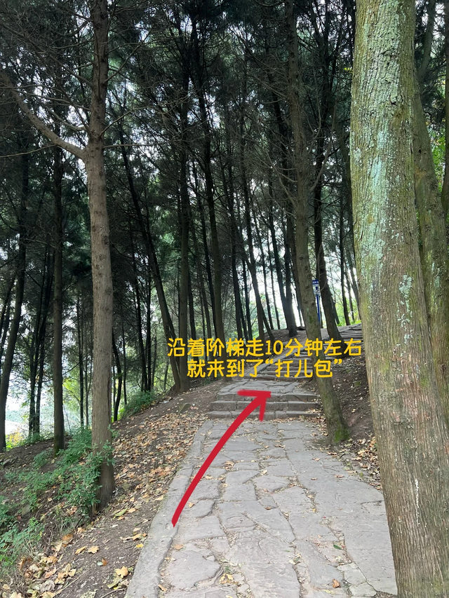 冷门！成都1h可达的龙脊古道徒步路线，人少景美，快冲！