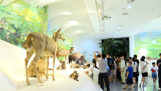 北碚：国庆中秋长假 重庆自然博物馆接待游客超10万人次