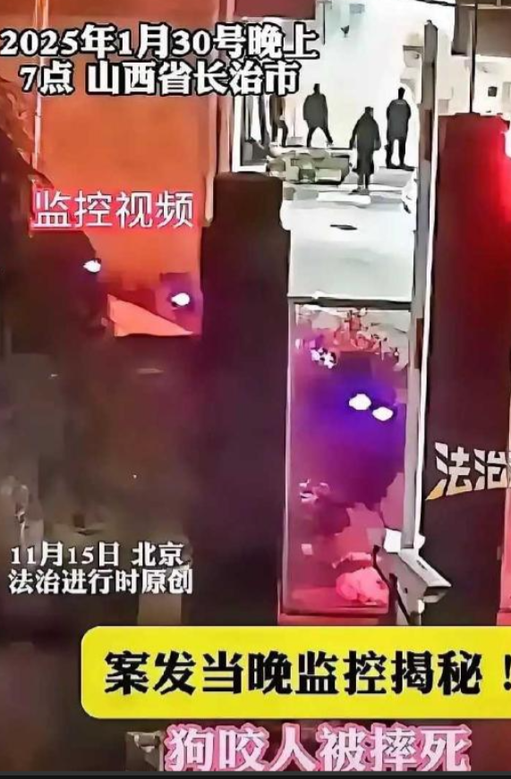 狗咬人事件再升级！李律师爆料，申家申倩才是最清醒	、最理智的人