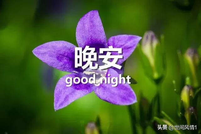 睡前晚安唯美的句子 晚安图片带字