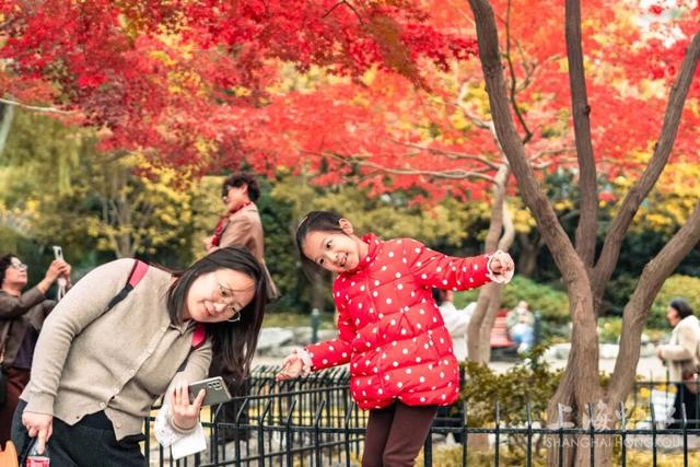 鲁迅公园枫叶红了！红黄青绿交织秋意浓~超出片