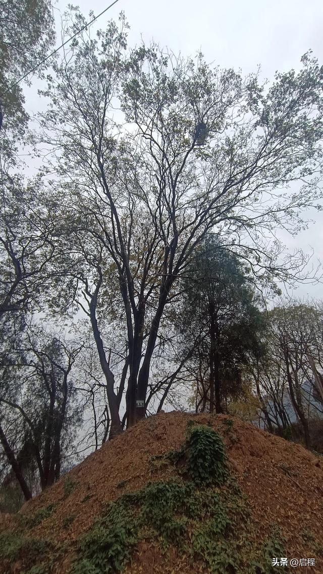 临潼区山村一游