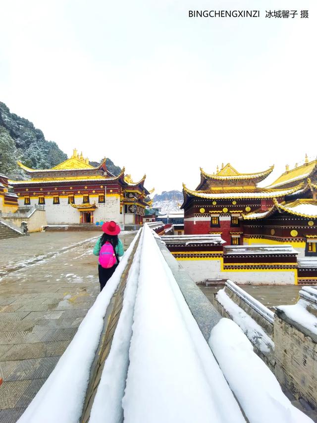 甘南-川西北之旅-6︱六月雪吻郎木寺