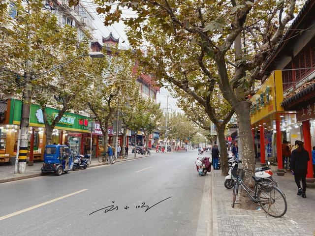 上海这座古镇“太尴尬”：位置优越却发展平平，藏在市区少有人知