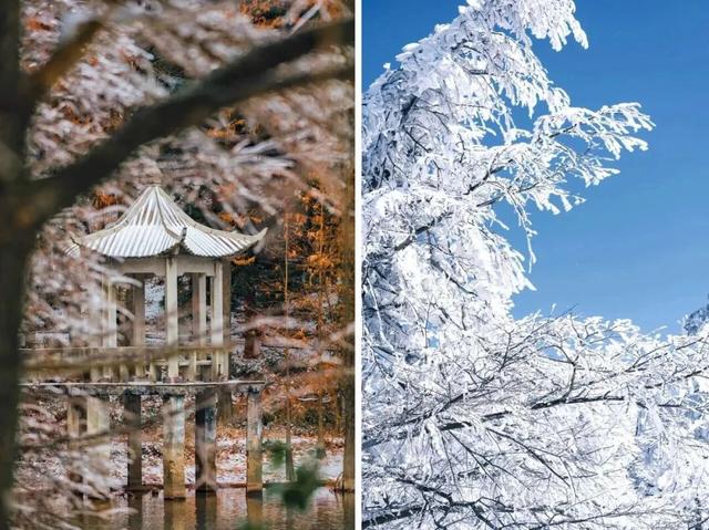 下雪了！下雪了！浙江的第一场雪来了！