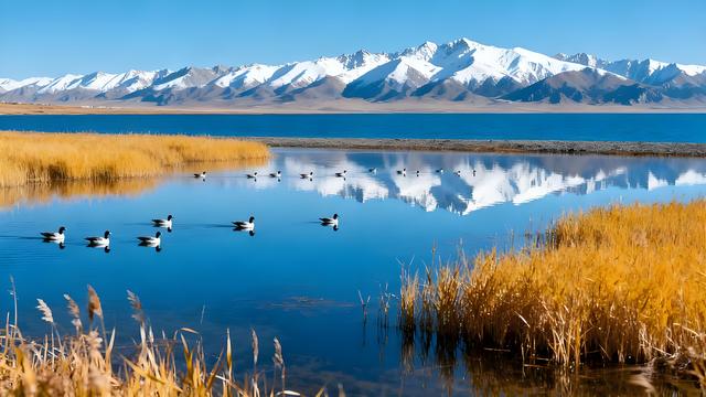 湟水鎏金映秋廓，昆仑披彩入诗行！西宁秋韵，高原上的斑斓史诗