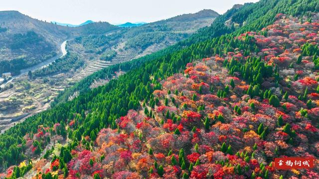 来九龙山，品尝咱钢城深秋的“鸳鸯火锅”