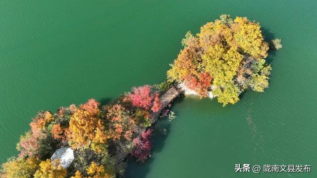 我爱你，文县！