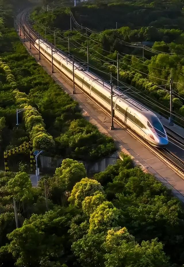 给钱也不卖！这项被国外垄断多年的技术，被中国一企业打破、超越