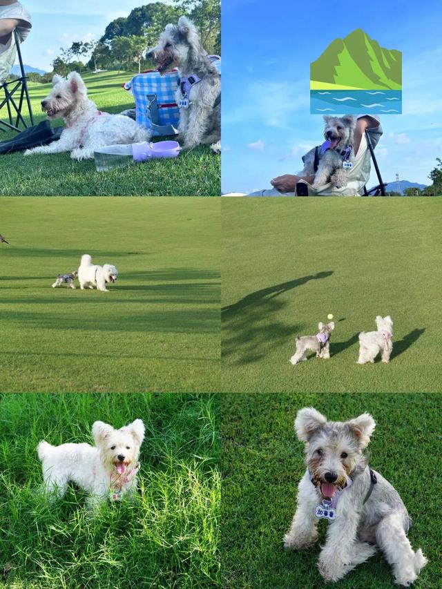 韶关冬日BBQ营地推荐来了→美食美景全都满足你