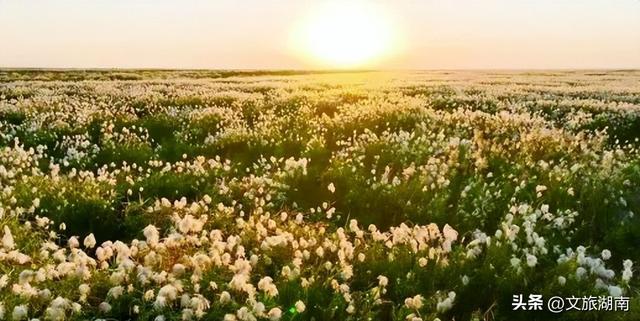 好想把自己扔进湖南这片秋景里