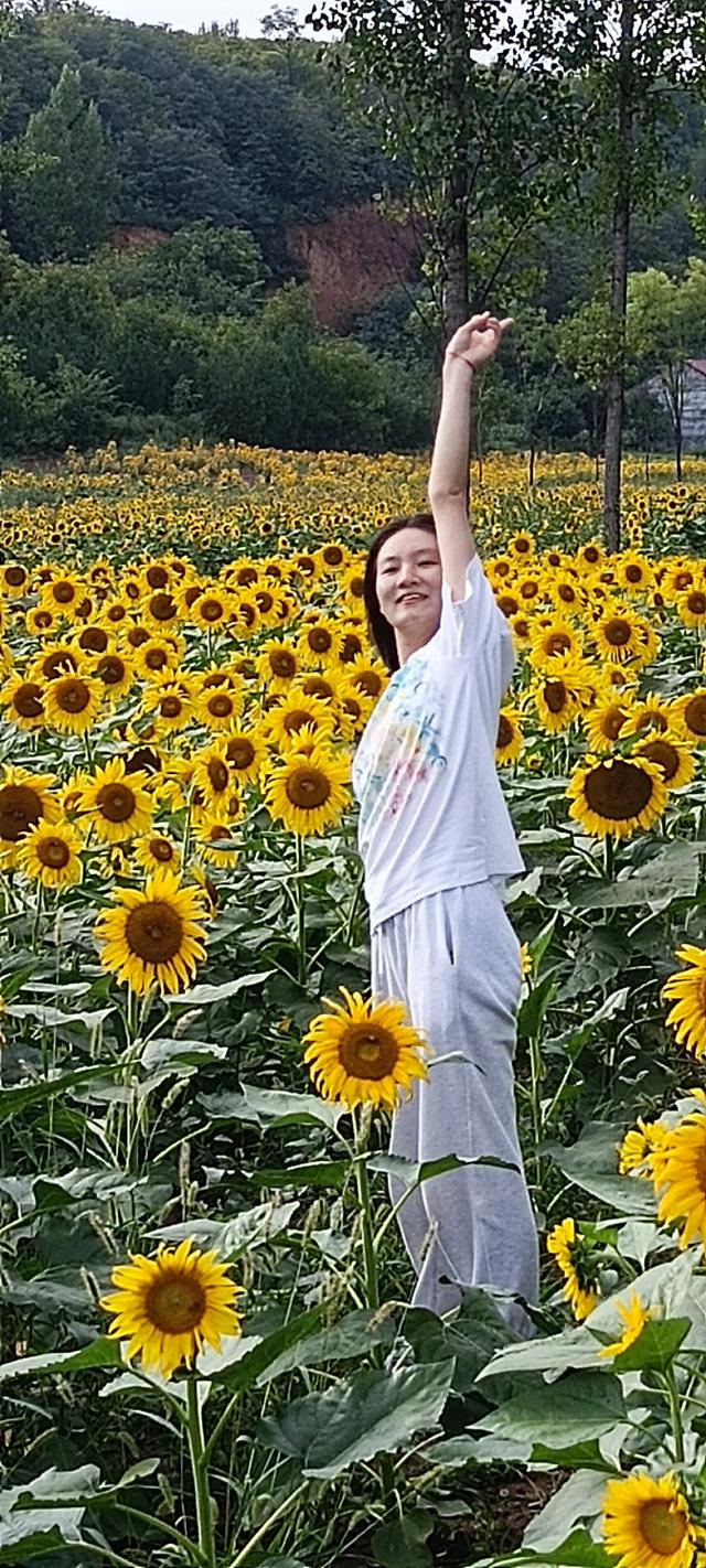 鸭凫峪鹿走沟向日葵🌻花海惊艳亮相！